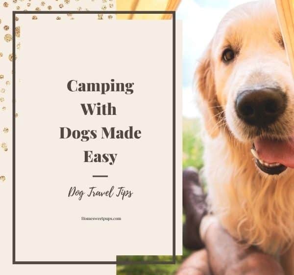 camping with dogs
