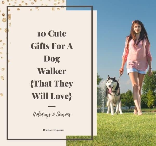 gifts for dog walkers