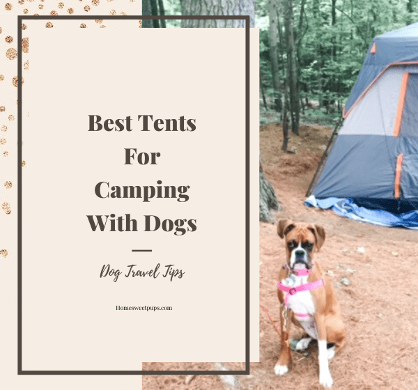 dog friendly tent