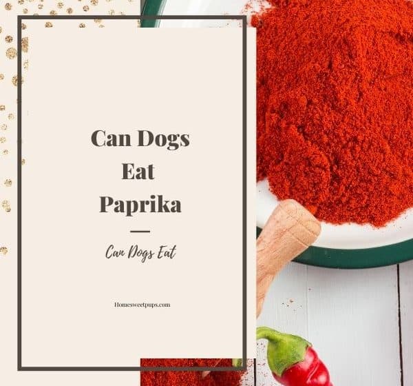 is paprika bad for dogs
