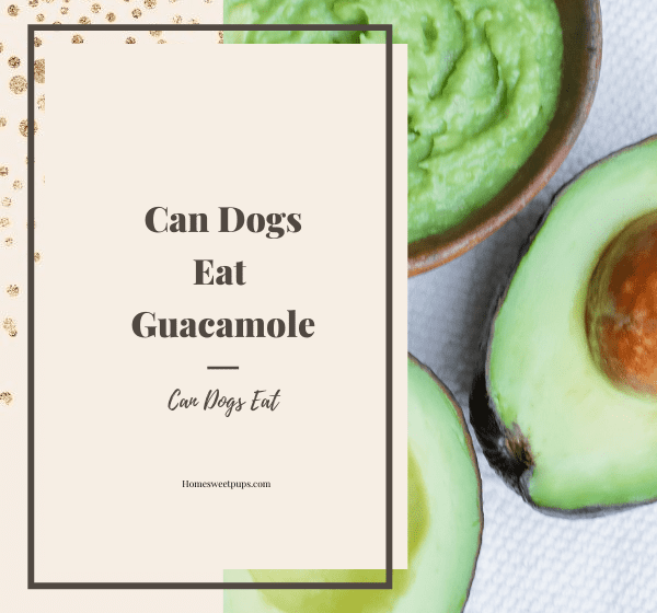can dogs eat avocado skin